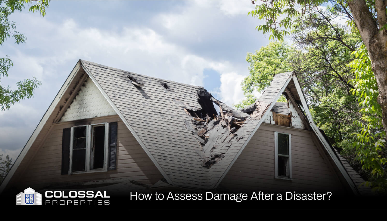 Colossal-LA-How-to-Assess-Damage-After-a-Disaster